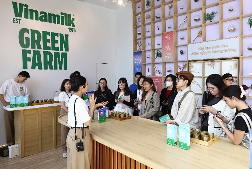 Vinamilk đã triển khai hàng loạt chiến dịch marketing trong quý IV