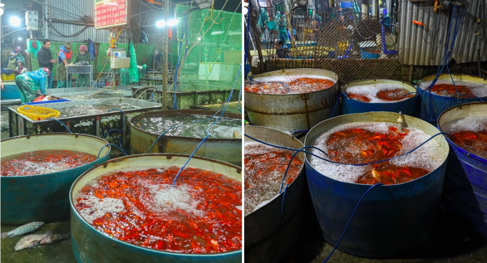 Chị May cho biết thêm, dù sắp đến ngày ông Công, ông Táo nhưng sức mua tăng chậm, một phần vì năm nay ngày ông Công, ông Táo rơi vào ngày thường nên người tiêu dùng không cầu kỳ như năm ngoái. Một phần vì kinh tế khó khăn nên mọi người cũng có tâm lý tiết kiệm hơn.