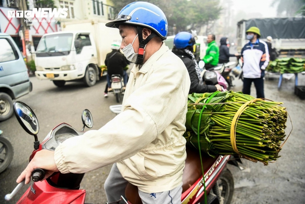 Hình ảnh người dân tấp nập chở lá dong để về gói bánh chưng báo hiệu ngày Tết cổ truyền của dân tộc đã cận kề.