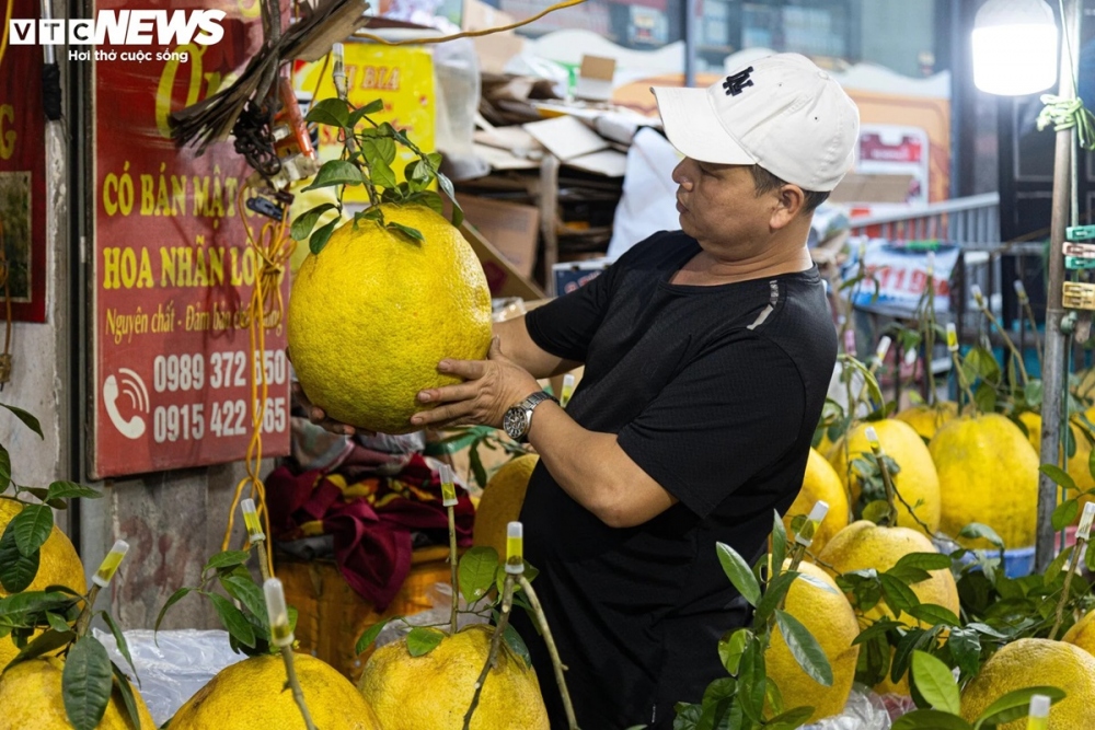 Anh Nguyễn Thành Hùng (Hà Nội), chủ cửa hàng trên đường Lạc Long Quân (quận Tây Hồ, Hà Nội) cho biết: "Quả bòng Kỳ Đà được những thương lái như chúng tôi thu mua và lựa chọn cẩn thận mang về Hà Nội để phục vụ người dân chơi Tết".