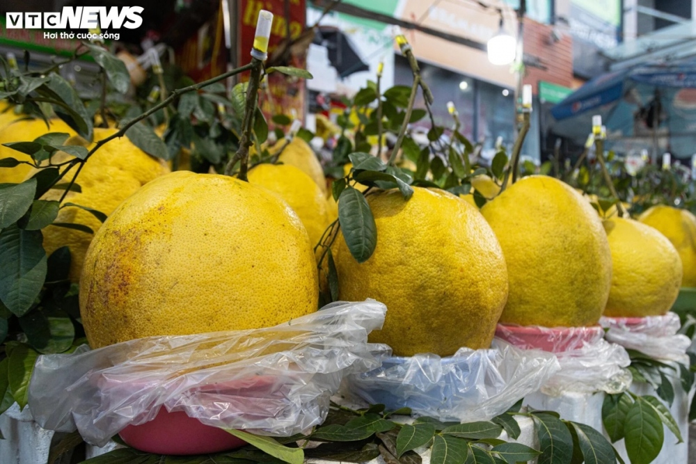 "Cửa hàng bắt đầu mở bán loại bòng này từ giữa tháng 12 âm lịch, năm nay tôi nhập về khoảng 800 quả, đến thời điểm hiện tại tôi đã bán được gần 500 quả", anh Hùng nói.