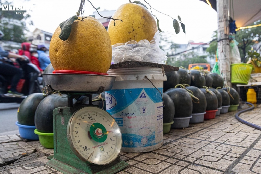 Theo anh Hùng, bòng Kỳ Đà một năm chỉ có duy nhất 1 vụ. Từ tháng 8 âm lịch bòng có màu xanh, đến tháng 10 bòng chuyển màu vàng bắt mắt.