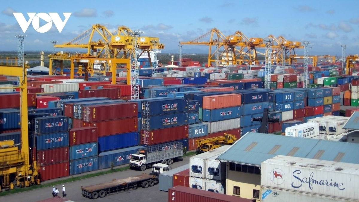 Các hãng tàu cần duy trì tuyến, đưa container rỗng về đảm bảo cho hoạt động xuất nhập khẩu của DN Việt Nam