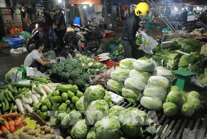 Ảnh tư liệu: Nguồn cung rau xanh ở chợ đầu mối Nam Hà Nội, quận Hoàng Mai. Ảnh: Vũ Sinh - TTXVN