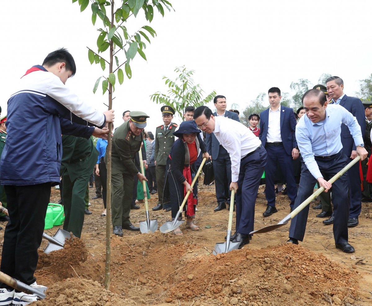 Chủ tịch nước Võ Văn Thưởng trồng cây ngay sau Lễ phát động "Tết trồng cây đời đời nhớ ơn Bác Hồ".