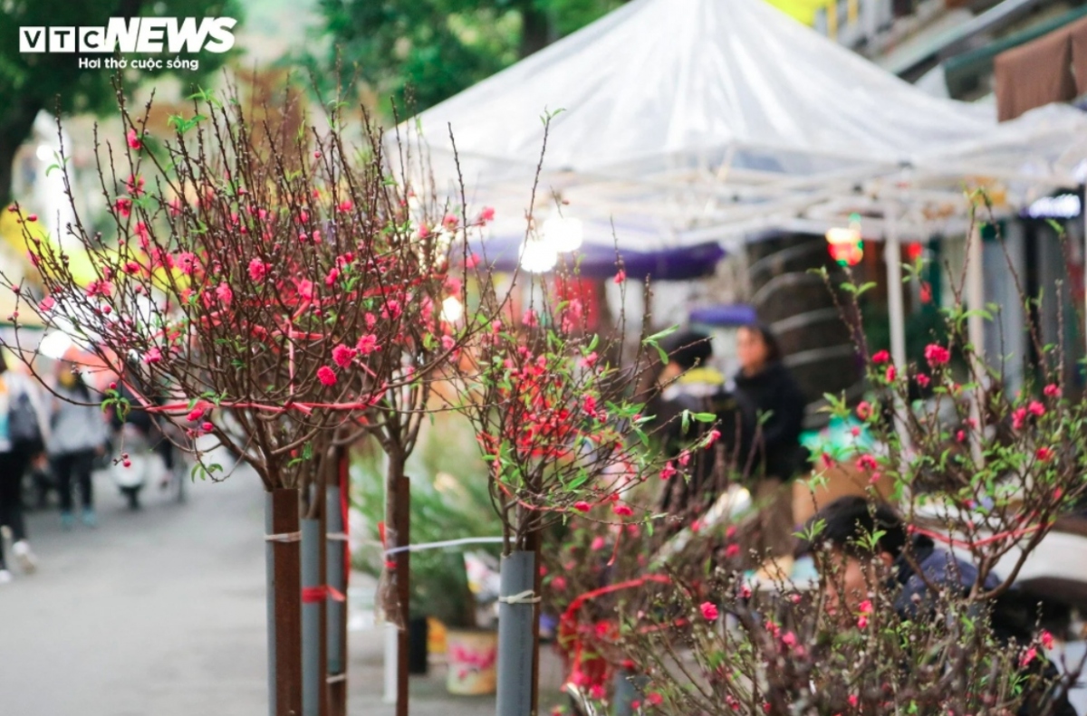 The traditional market stretches from Hang Luoc street to the nearby streets of Hang Ruoi, Hang Ma, and Hang Khoai, as well as the mural section of Phung Hung street.