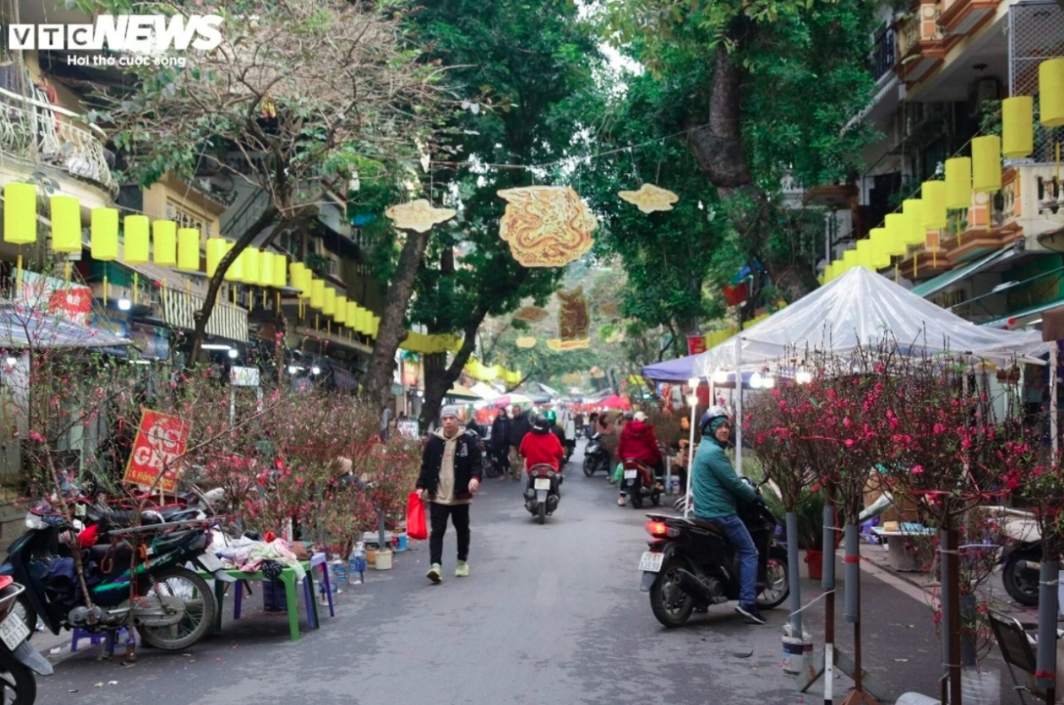 The Hang Luoc flower market is a long-standing market based in the capital. It only convenes once a year, opening from the 15th to 30th day of the last lunar month.