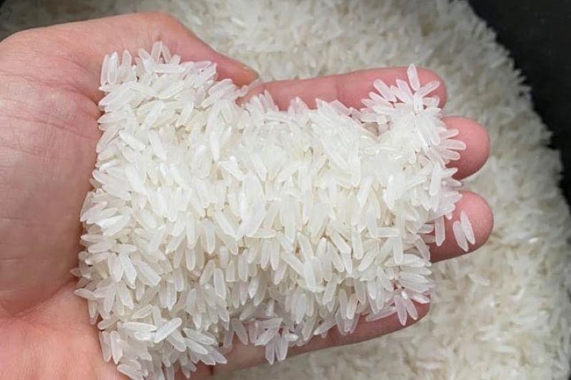 Campuchia thúc đẩy canh tác bền vững và tăng cường xuất khẩu gạo. (Ảnh minh họa)