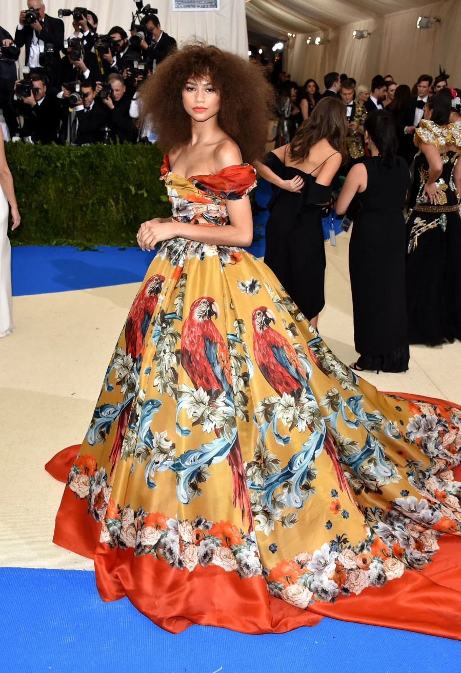 Với chủ đề Comme des Garçons mang tính định hướng tại Met Gala 2017, Zendaya thể hiện cá tính riêng trong thời trang cao cấp Dolce &amp; Gabbana Alta Moda. Chiếc váy dạ hội nhiệt đới bay bổng với họa tiết con vẹt nhiệt đới của Dolce &amp; Gabbana. Những mảng màu sắc sống động như vàng chanh, xanh biển, màu cam của chiếc đầm đã giúp Zendaya trở thành một trong các ngôi sao có diện mạo bắt mắt nhất ngày hôm đó.