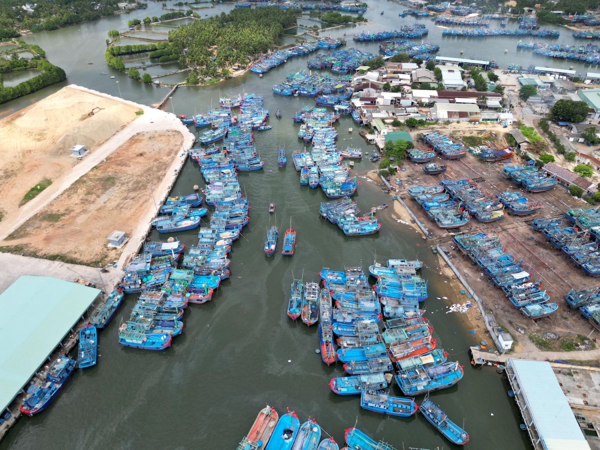 Fishing vessels have docked at Tam Quan port in Binh Dinh province and Tho Quang port in Da Nang after their first voyages of the new fishing season, coming back with a boatload of tuna.