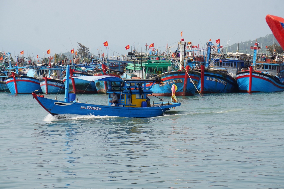 Taking advantages of the favourable weather after the week-long Lunar New Year, fishermen in southcentral provinces who go on their first voyages of the new fishing season enjoy their bumper catches.