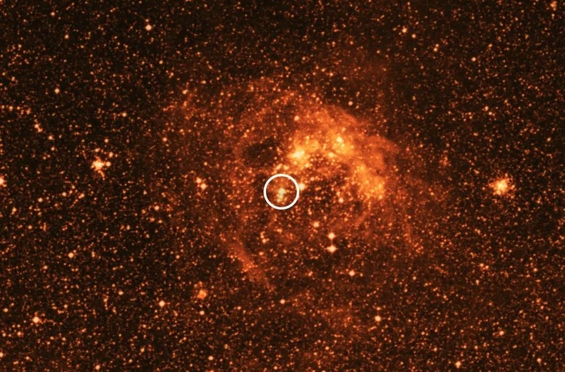 Không có một cái tên hấp dẫn nhất trong vũ trụ nhưng HD 269551 vẫn là một ngôi sao đáng nhớ vì kích thước khổng lồ của nó, bằng 1.439 lần kích thước Mặt trời của chúng ta. Giống như nhiều ngôi sao lớn trong danh sách này, HD 269551 cực kỳ không ổn định và sắp hết tuổi thọ, dự kiến sẽ phát nổ thành siêu tân tinh trong vòng vài triệu năm tới (một khoảng thời gian rất ngắn so với thời gian trong vũ trụ).