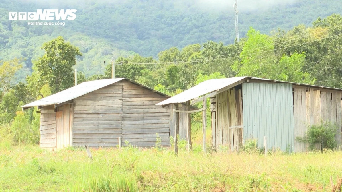 Những ngôi nhà có diện tích khoảng 30-40 m2 thưng bằng ván gỗ, mái lợp tôn hầu hết đều cửa đóng then cài. Nhiều ngôi nhà tường lộ rõ vết nứt, mọc đầy rêu, xuống cấp.