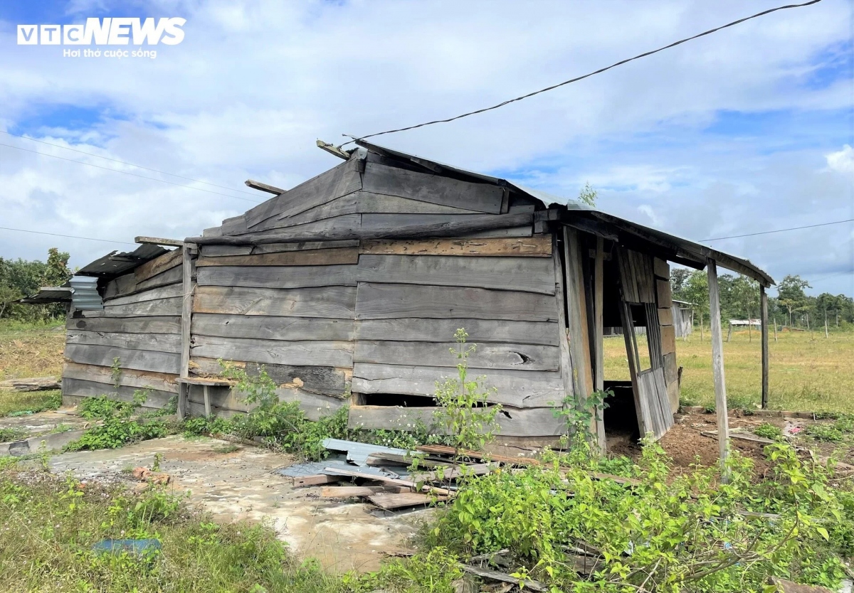 Như nhiều hộ gia đình khác, ông Triệu Sinh Thành - Phó Trưởng thôn Lơ Bơ bỏ lại ngôi nhà trong khu tái định cư, tới sống ở nương rẫy cách đó chừng 3 km. "Tôi sống ở nương rẫy quen rồi, đất đai rộng rãi có thể nuôi thêm con gà, con heo, chứ ở khu tái định cư không nuôi được. Ở làng cũ đất đai màu mỡ còn trồng được cây cà phê, gia đình cũng tiện trông nom, phơi phóng, bảo quản còn khu tái định cư thì bất tiện lắm" - ông Thành giãi bày.