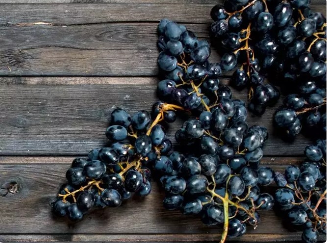 Nho đen có chứa đặc tính làm mát tự nhiên rất tốt cho mắt và có tác dụng kích thích tình dục. Chúng cũng giúp cải thiện quá trình trao đổi chất, thúc đẩy việc loại bỏ chất thải ra khỏi cơ thể.