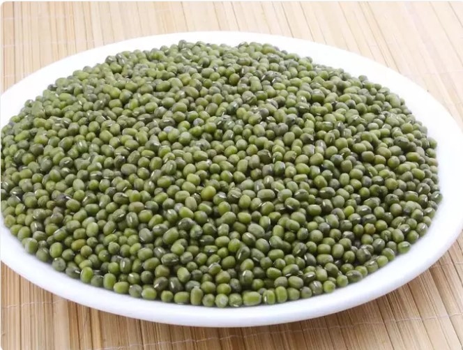 Đậu xanh giàu protein, carbohydrate, chất xơ và khoáng chất. Nó rất hữu ích trong việc giảm trọng lượng cơ thể và trong các tình trạng như tiêu chảy, nôn mửa, IBS, v.v.