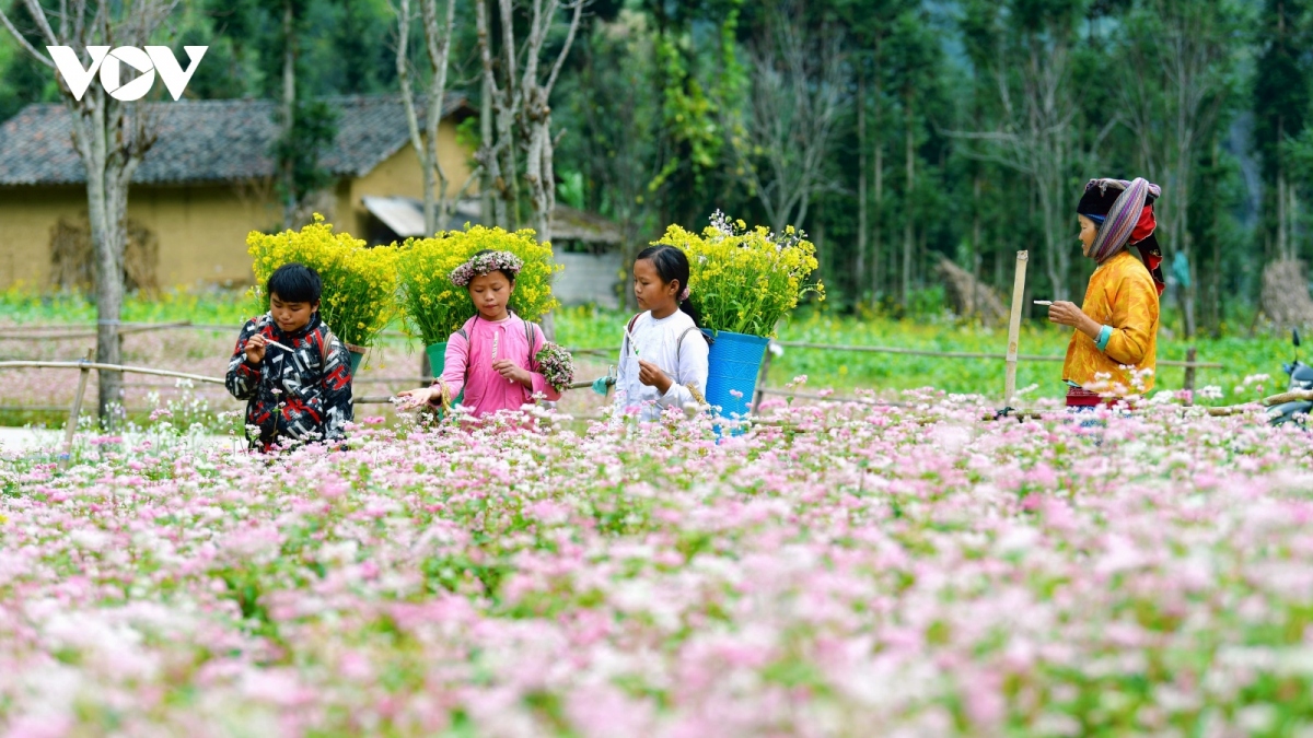In January, the New York Times listed Ha Giang among 52 destinations to visit in 2023. The US media outlet suggested that visitors take time to explore the diverse cultures of ethnic minorities in the area, such as the H’Mong and Tay, as well as take a boat ride on the emerald Nho Que River through the canyon at Ma Pi Leng Pass.