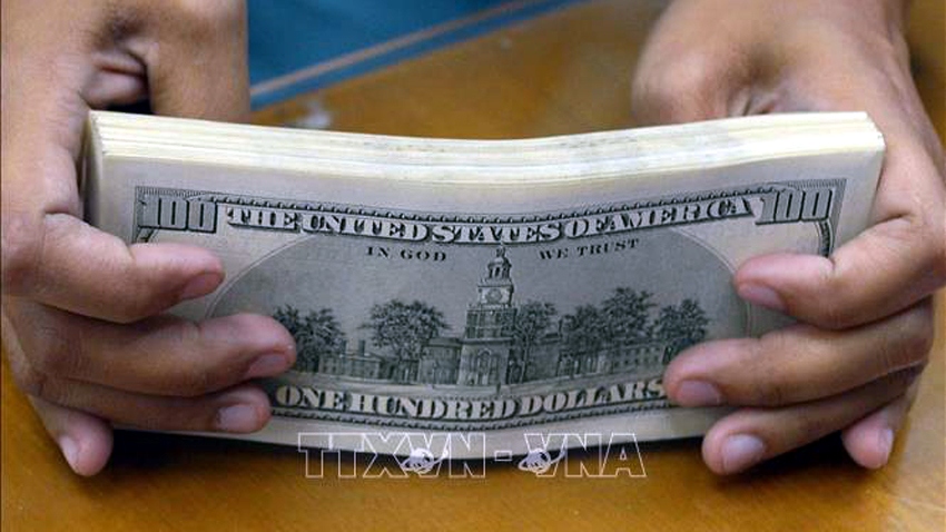 Đồng tiền mệnh giá 100 USD - Ảnh: AFP/TTXVN