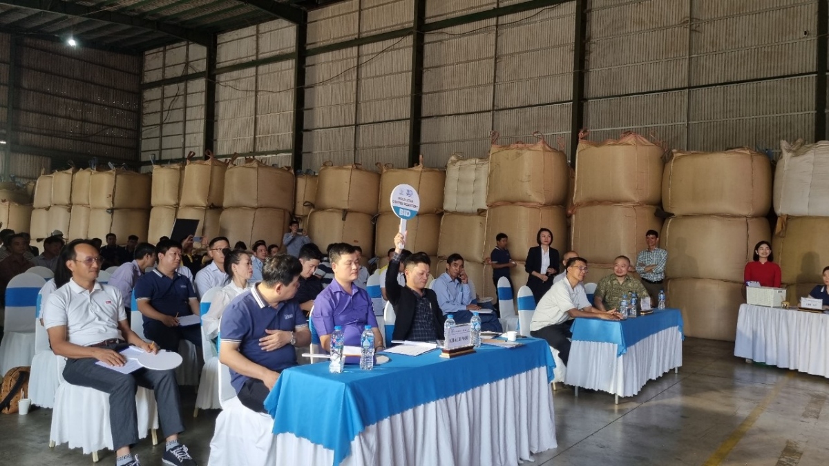 Các nhà rang xay tham gia đấu giá lô cà phê đặc sản năm 2023