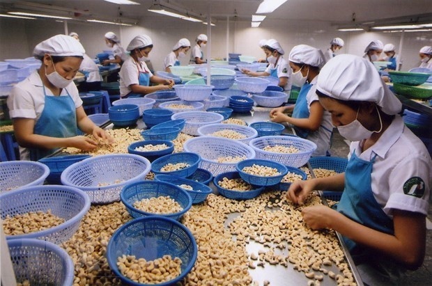 Trong năm 2023, hơn 1.800 vũ khí, vật liệu nổ đã được lực lượng chức năng Yên Bái thu hồi.