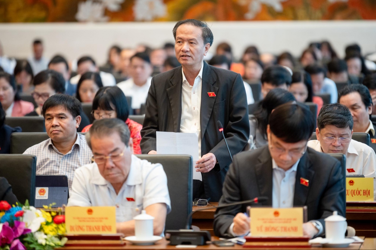 Đại biểu Đinh Ngọc Minh