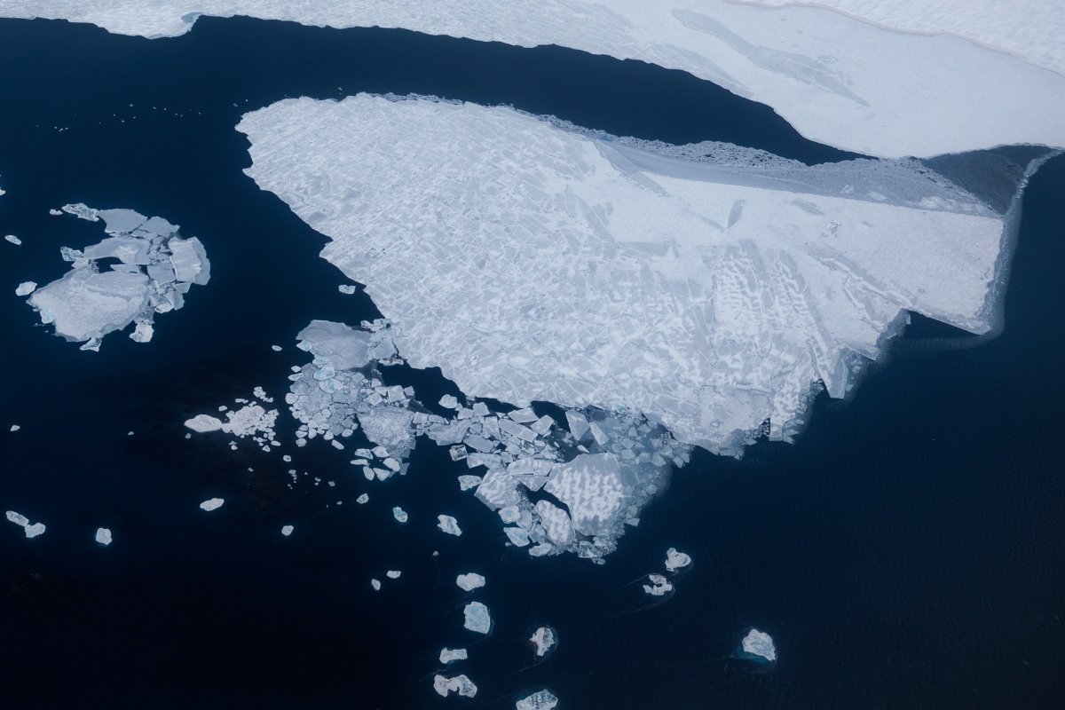 Ảnh minh họa: Reuters