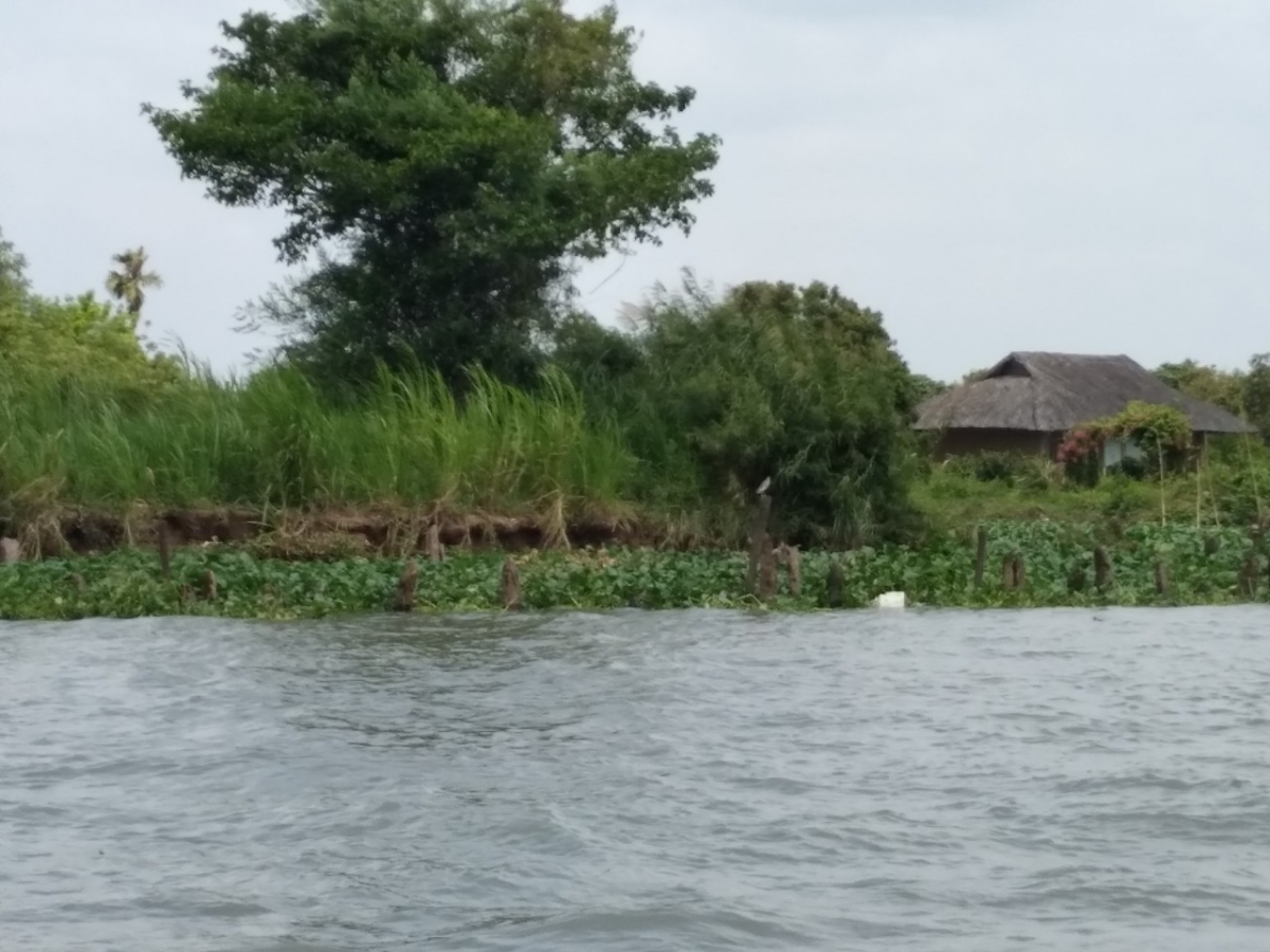 Bờ sông Tiền tại địa bàn huyện Cái Bè, tỉnh Tiền Giang bị sạt lở nghiêm trọng có nguyên nhân do "cát tặc" hoành hành trong thời gian dài.