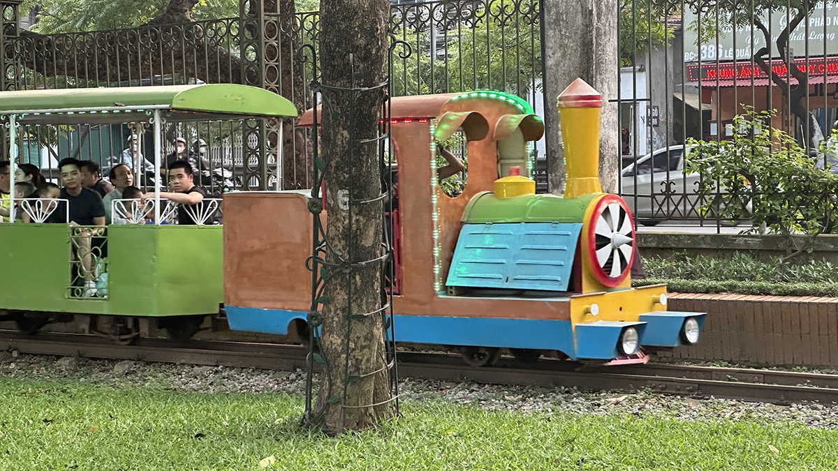 Gỗ sưa có giá trị cao do được khách hàng giới nhà giàu Trung Quốc săn đón, gỗ sưa có mùi thơm dùng đóng đồ nội thất, mỹ nghệ vật dụng mang ý nghĩa phong thủy.