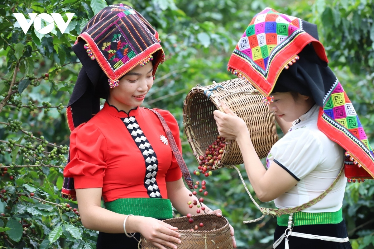 Nông sản Sơn La đến nay đã xuất khẩu sang hơn 20 quốc gia và vùng lãnh thổ trên thế giới