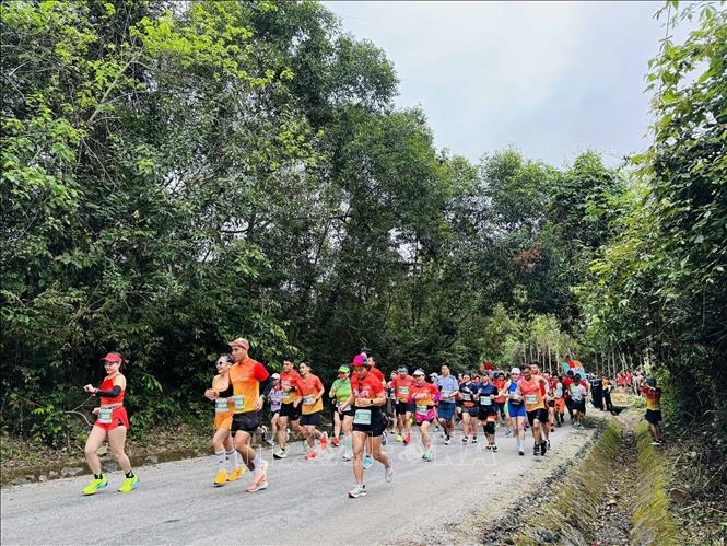 Nearly 2,400 local, foreign runners join Quang Binh Discovery Marathon. (Photo: VNA)
