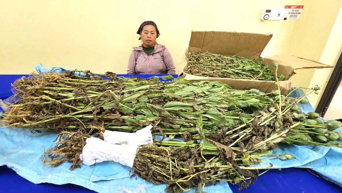 Đối tượng Giàng Thị Say cùng tang vật. (Ảnh: Trung Hiếu)