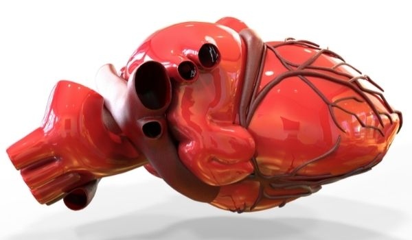 Ảnh: expatrepublic.com