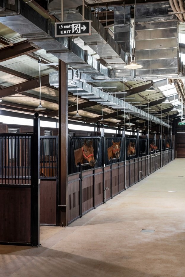 It will have up to 300 stables which offer professional horse care services. There will also be a high-end veterinary hospital and a special area for horse riding.
