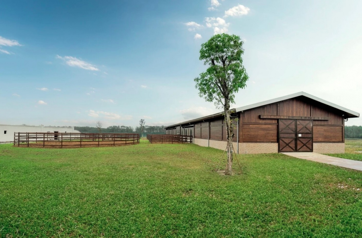 In the plain terrain area for horse riding, trainees are able to participate in relaxing activities and challenge themselves to reach the professional level.