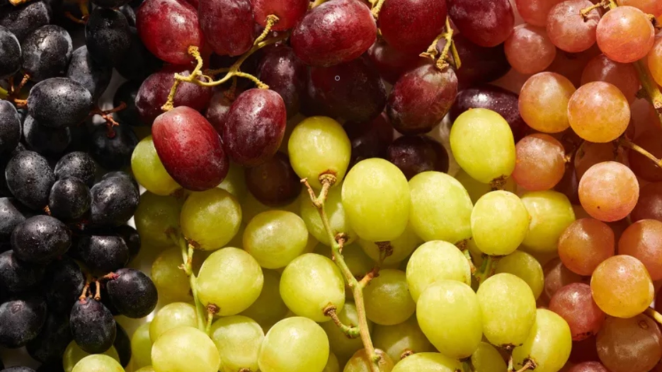 Nho chứa vitamin C, K, giàu chất xơ và chứa 1 lượng nhỏ khoáng chất như đồng, mangan và magie. Tuy nhiên, nó chứa ít hàm lượng kali và phốt pho, tốt cho người bệnh thận. (ảnh: The Spruce Eats / Julia Hartbeck)