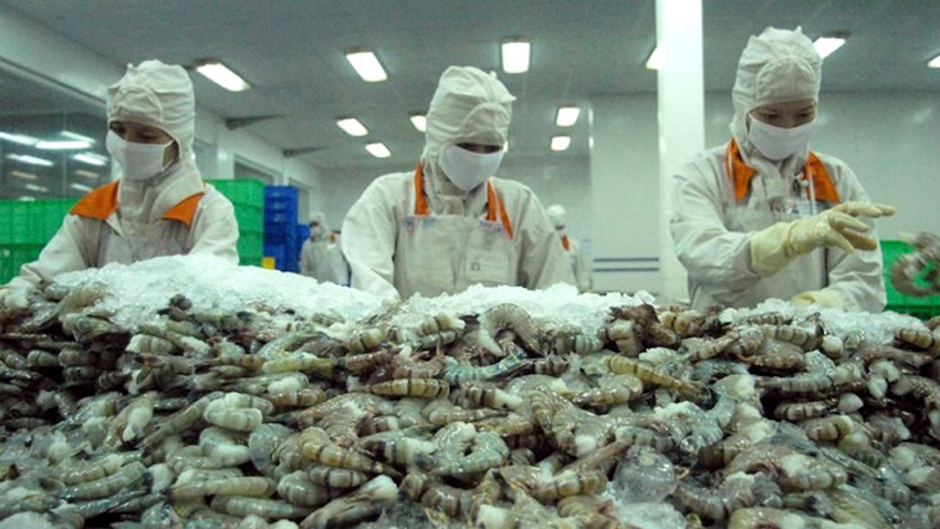 Trong 3 tháng đầu năm nay, xuất khẩu thủy sản đã có những tín hiệu tích cực khi đạt mức gần 1,9 tỷ USD