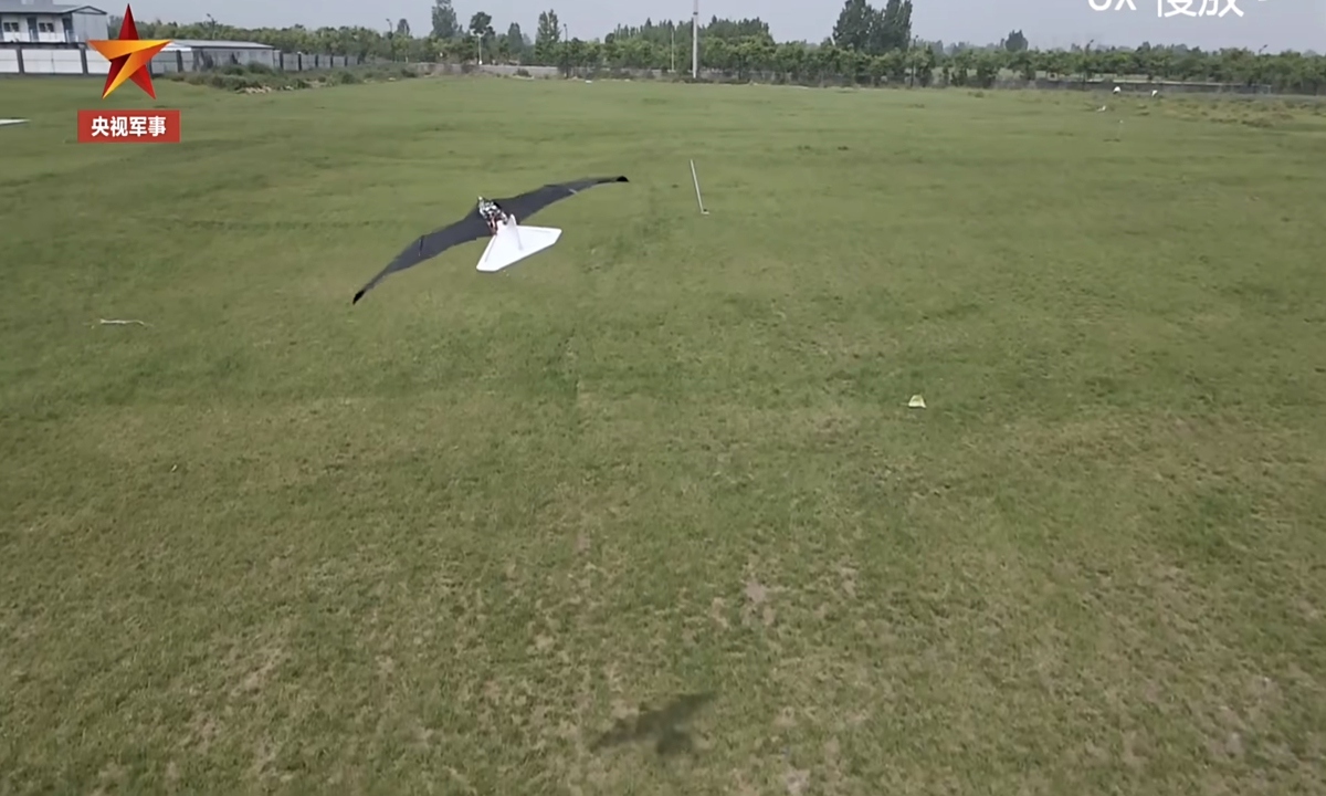 Thiết bị ornithopter mới do Đại học Công nghiệp Tây Bắc Trung Quốc phát triển. Ảnh chụp màn hình CCTV