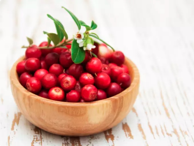 Quả nam việt quất: Khi nói đến các phương pháp điều trị UTI thì không thể bỏ qua nước ép nam việt quất.