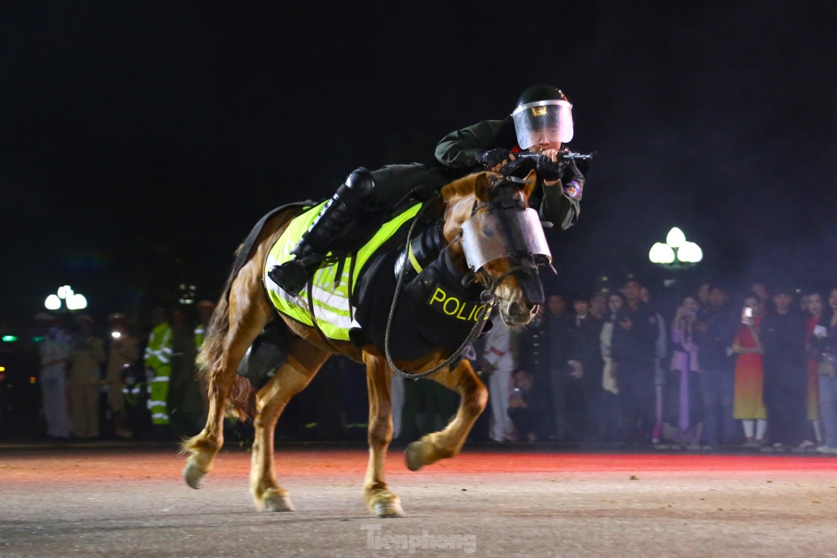 The horses are all thoroughly trained in order to follow commands.
