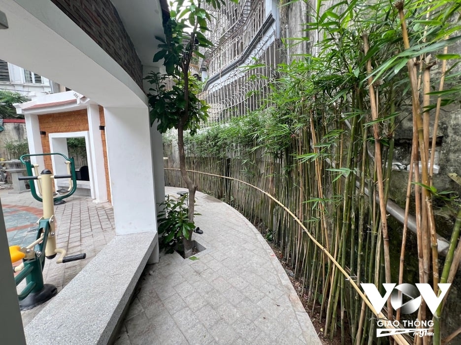 Bên ngoài giếng làng còn được bao bọc bởi hàng tre.