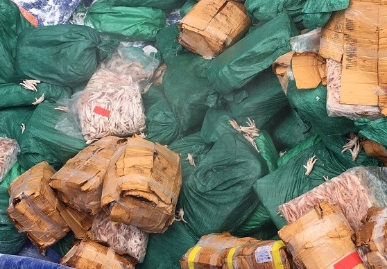 Cơ quan chức năng tỉnh Yên Bái vừa tổ chức tiêu hủy gần 7 tấn chân gà đông lạnh không rõ nguồn gốc xuất xứ, không đảm bảo an toàn thực phẩm.