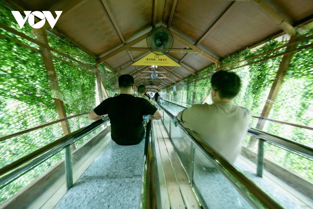 This is also a wonderful experience to conclude the six-hour journey to visit the sightseeing spot.