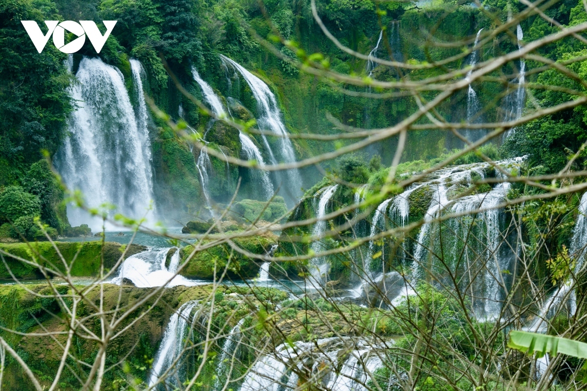 Ban Gioc waterfall is one of the most majestic and beautiful waterfalls throughout the country, providing many favourite check-in spots for tourists.
