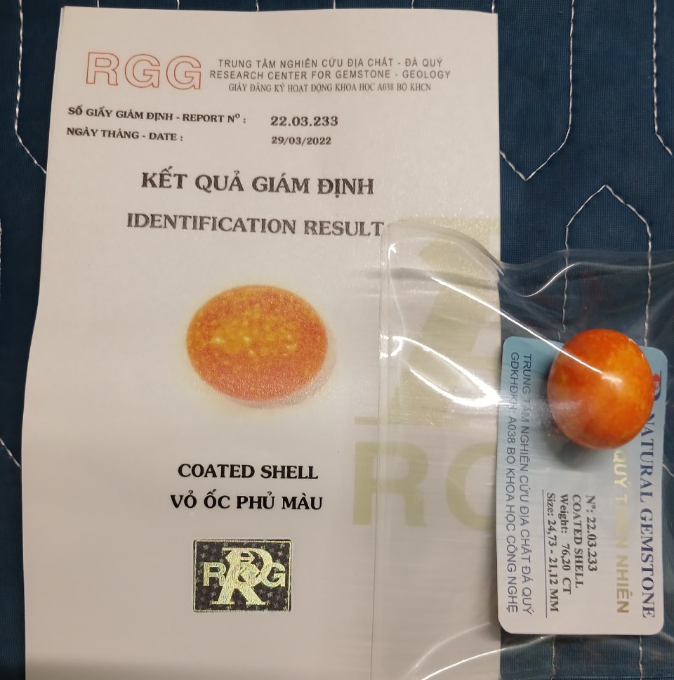 1 vật có hình dạng giống quả trứng cút màu cam mà các đối tượng gọi là "Ngọc ốc giác". (Ảnh: CACC)