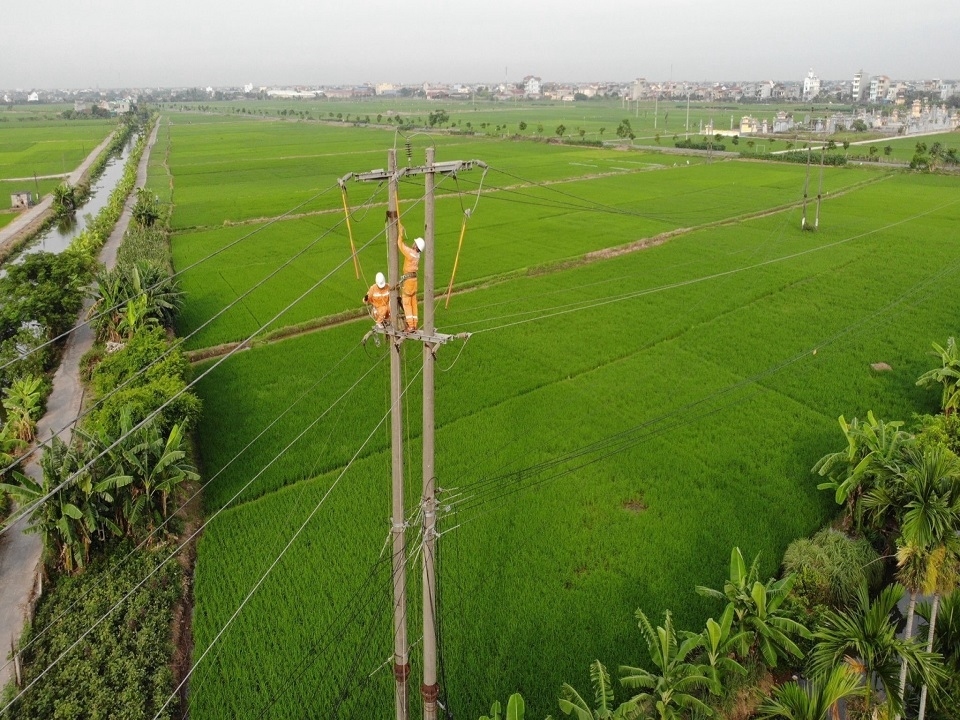 Công nhân Điện lực Hải Hậu, Nam Định kiểm tra sứ lộ trên đường dây trung thế 22 kV