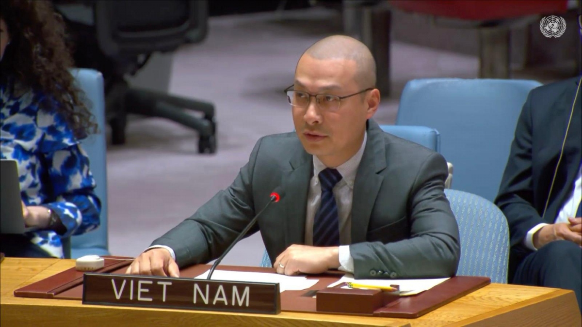 Công sứ Nguyễn Hoàng Nguyên, Đại biện lâm thời Phái đoàn Thường trực Việt Nam tại Liên hợp quốc