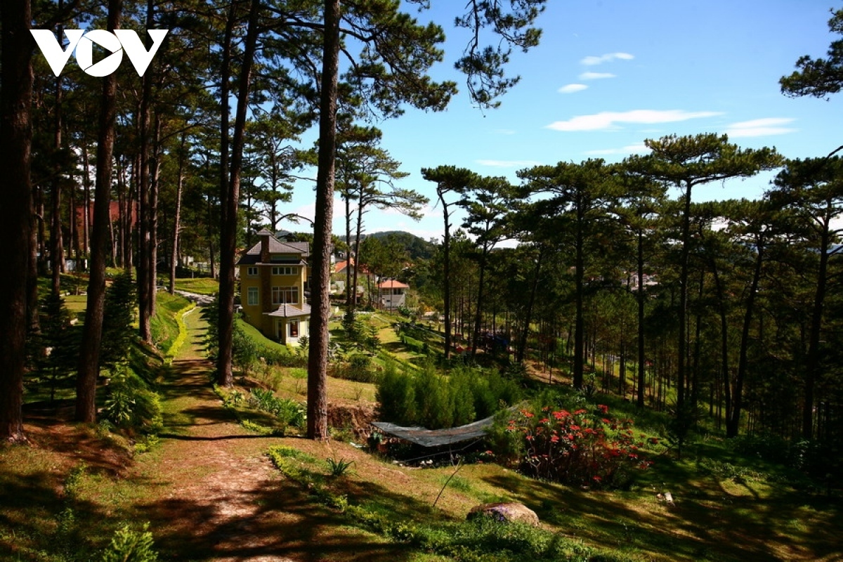 Da Lat tops the list as the most searched domestic destination by Vietnamese travelers during the upcoming holiday