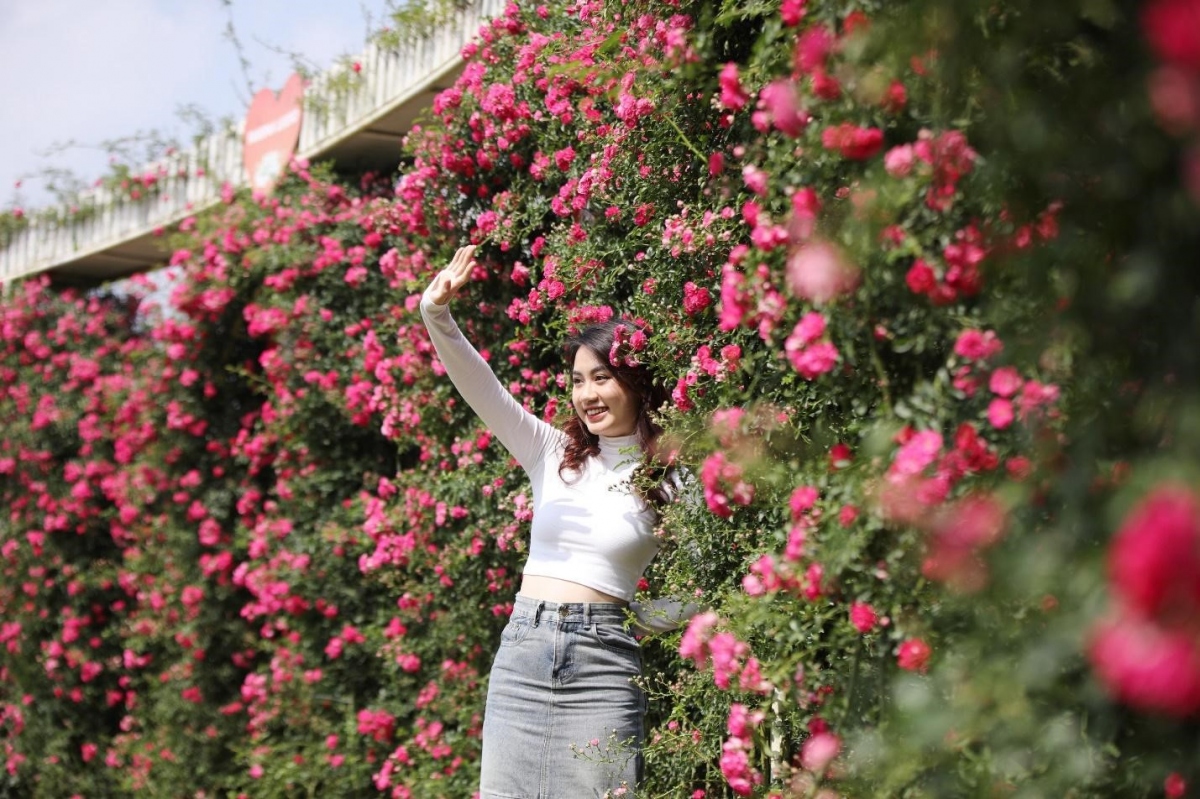Đặc biệt, nếu đến Fansipan vào cuối tháng 4/2024, đúng vào thời điểm diễn ra Lễ hội Hoa hồng 2024 với chủ đề “Triệu đóa hồng tình yêu”, du khách sẽ được hoà vào không khí lễ hội sôi động với nhiều trải nghiệm hấp dẫn như: Biểu diễn nghệ thuật Tây Bắc, diễu hành xe hoa, tái hiện đám cưới của các dân tộc thiểu số Mông, Dao, Tày, Giáy, Xa Phó, trưng bày áo cưới các dân tộc…