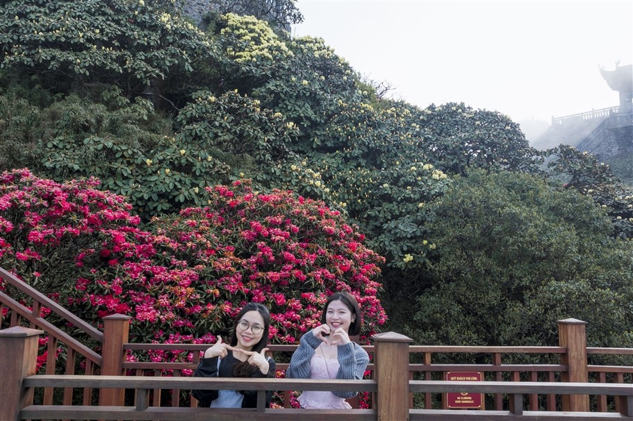 Đây là đường dạo ngắm hoa đỗ quyên đầu tiên tại Việt Nam, nằm tại Kim Sơn Bảo Thắng Tự thuộc quần thể kiến trúc văn hóa tâm linh trên đỉnh thiêng Fansipan, khánh thành từ tháng 5/2023.