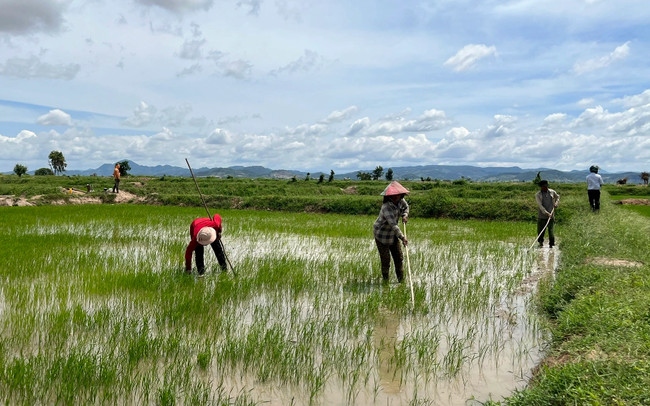 Liên quan sai phạm đất đai, đến nay, 9 cán bộ, lãnh đạo ở xã Hồng An và huyện Hưng Hà, tỉnh Thái Bình bị khởi tố. (Ảnh minh họa - Ảnh: Dân trí)